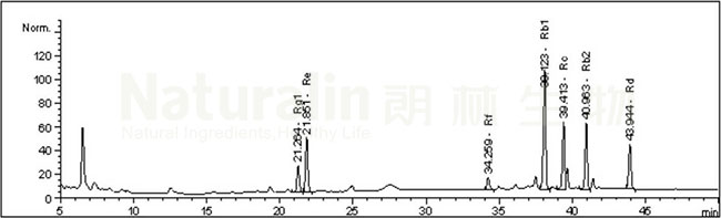 香港内部最精准16码