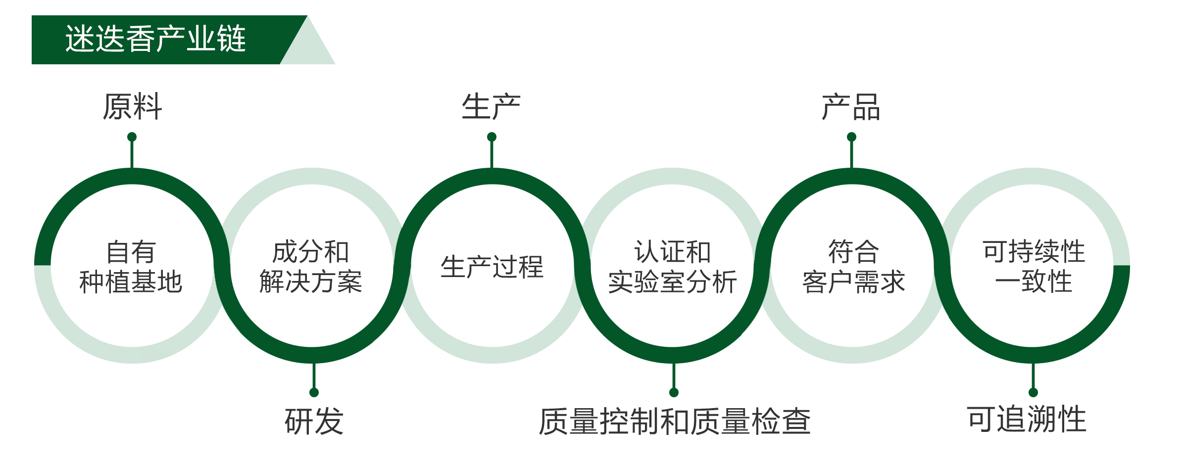 香港内部最精准16码