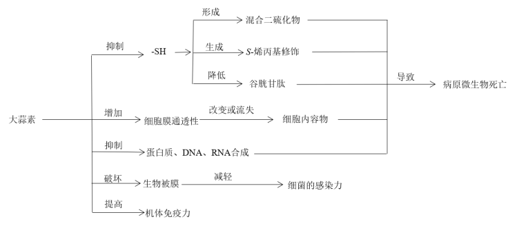 香港内部最精准16码